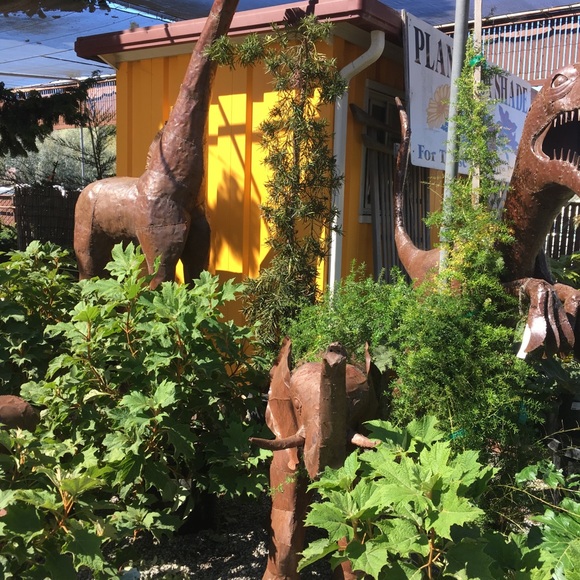 Meet your Posher, Josielynn - Picture 7 of 10